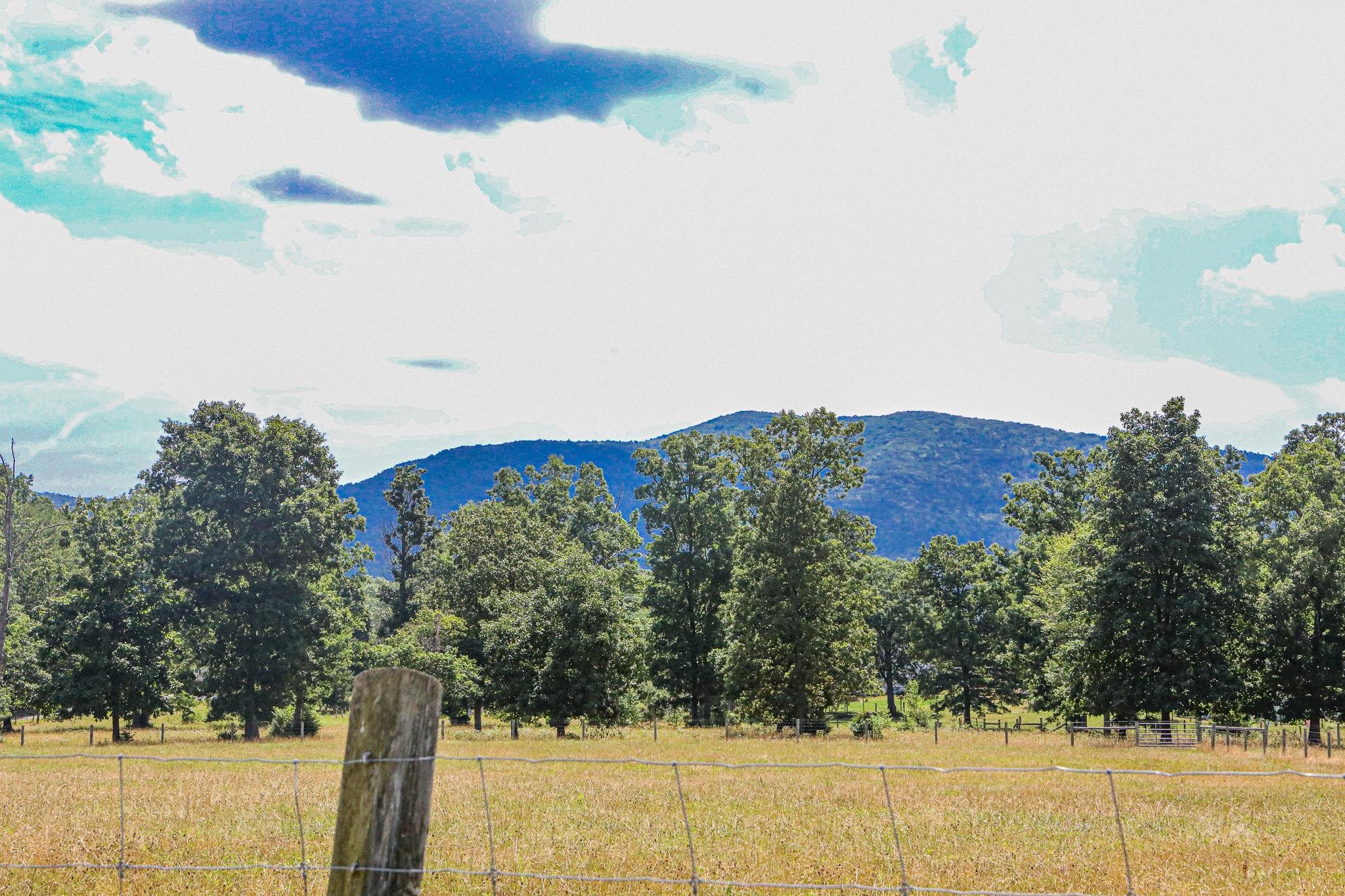 435 Lofton Road Raphine, VA 24472 - Photo 55 of 65 a view of a lake with a mountain in the background