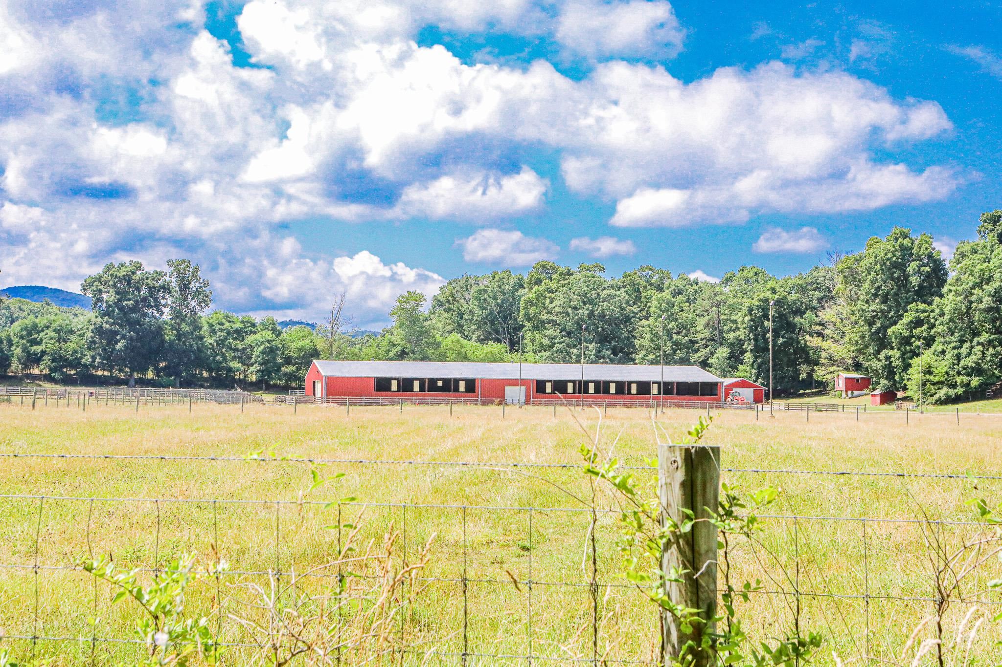 435 Lofton Road Raphine, VA 24472 - Photo 58 of 65 a view of an swimming pool and trees in the background
