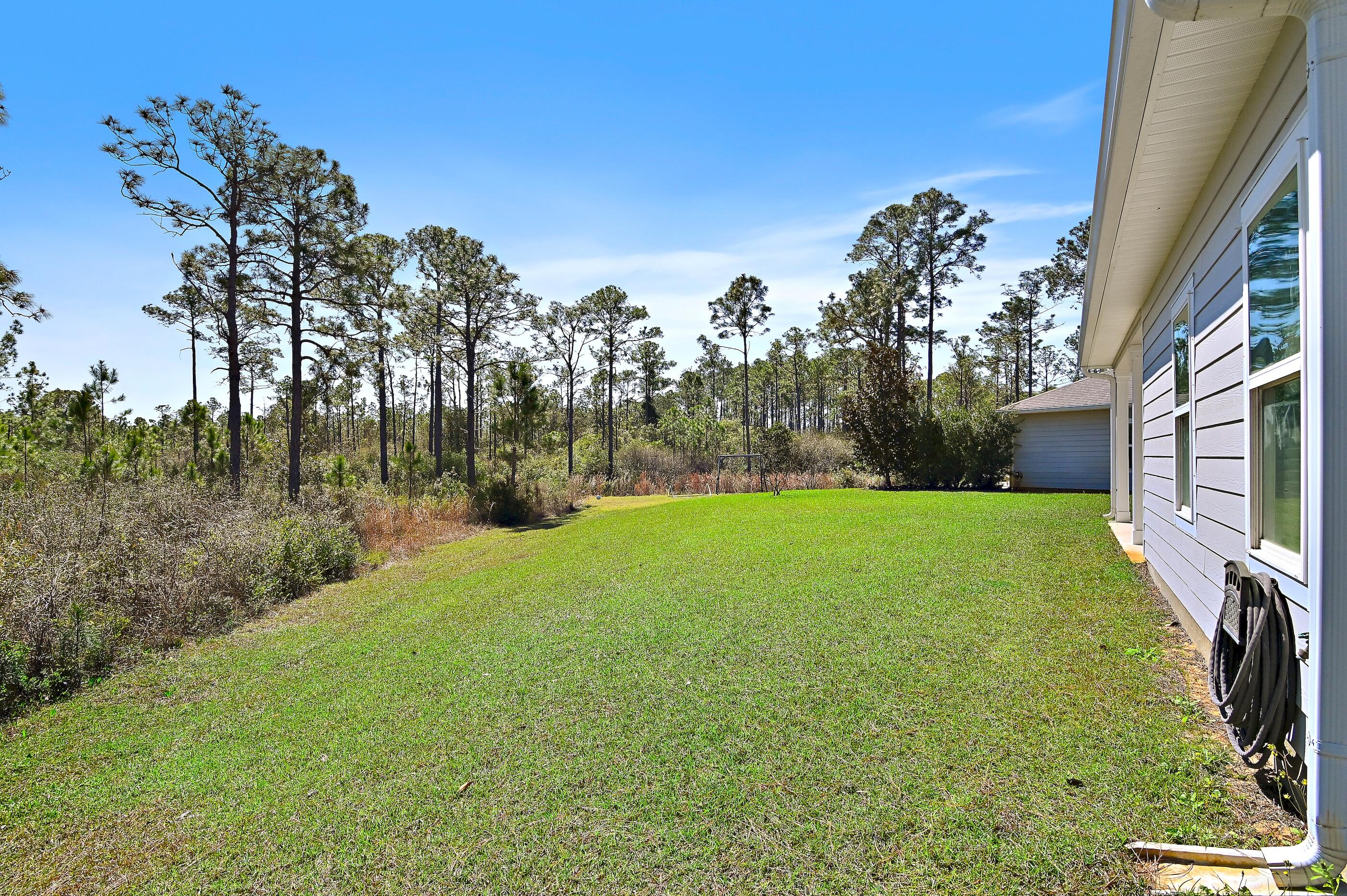 244 Eagle Bay Lane Santa Rosa Beach, FL 32459 - Photo 35 of 38 Large Yard - Backs up to State Forest