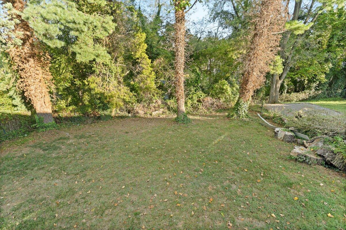 2617 Radford Road Northeast Roanoke, VA 24012 - Photo 10 of 25 a view of yard with trees
