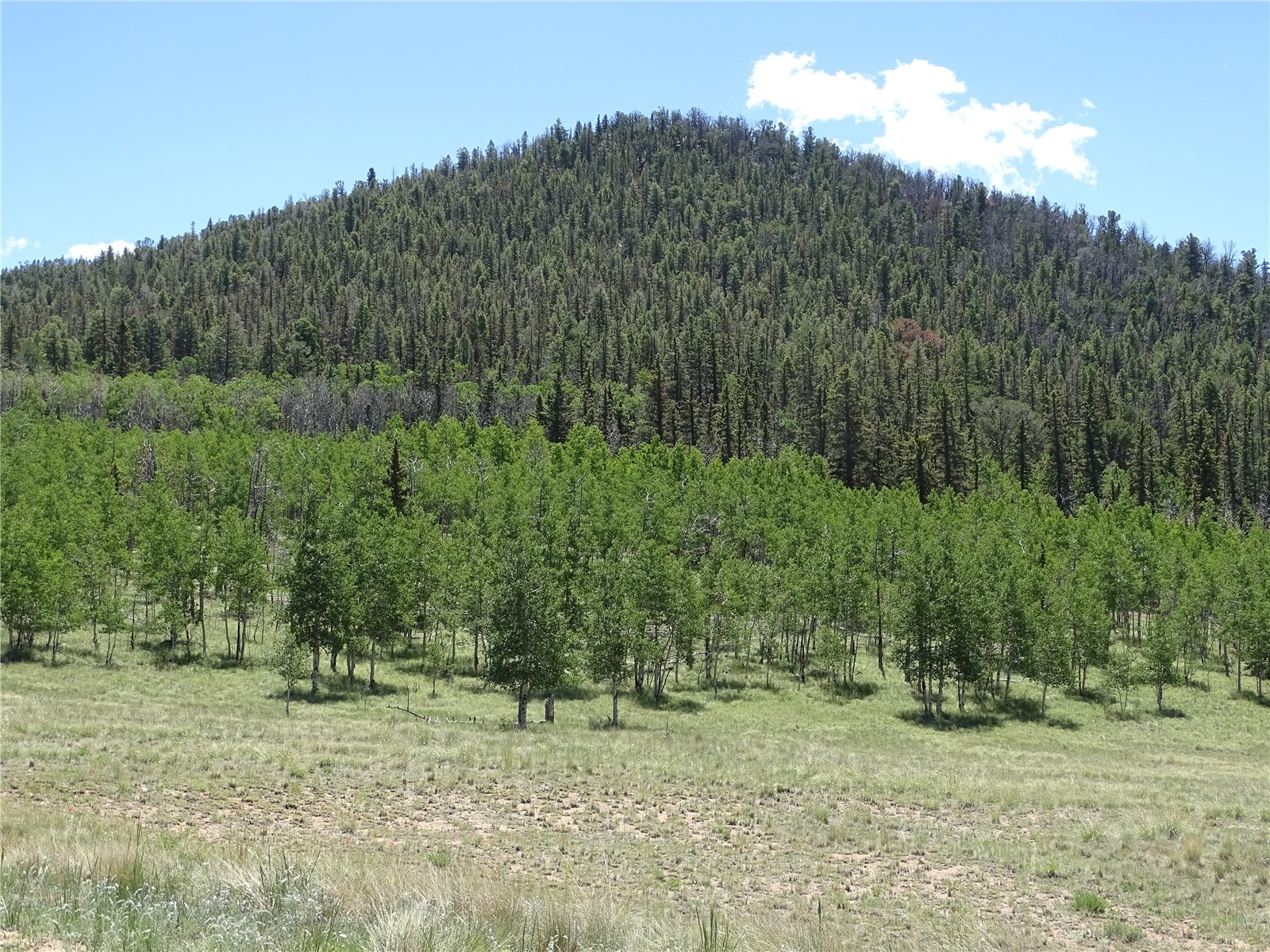 782 Bow String Road Como, CO 80456 - Photo 22 of 22