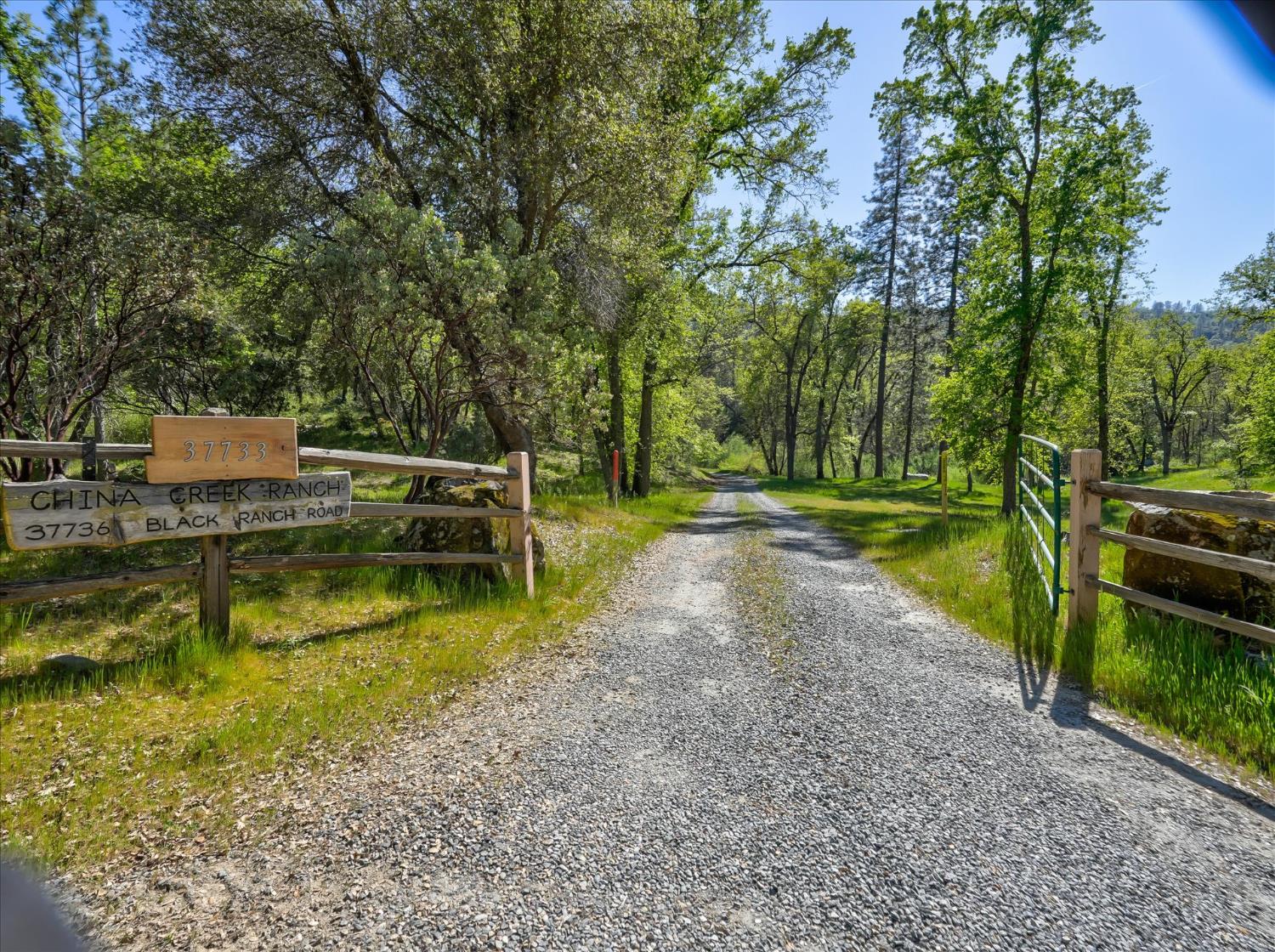 37733 Black Ranch Road Oakhurst, CA 93644 - Photo 4 of 98