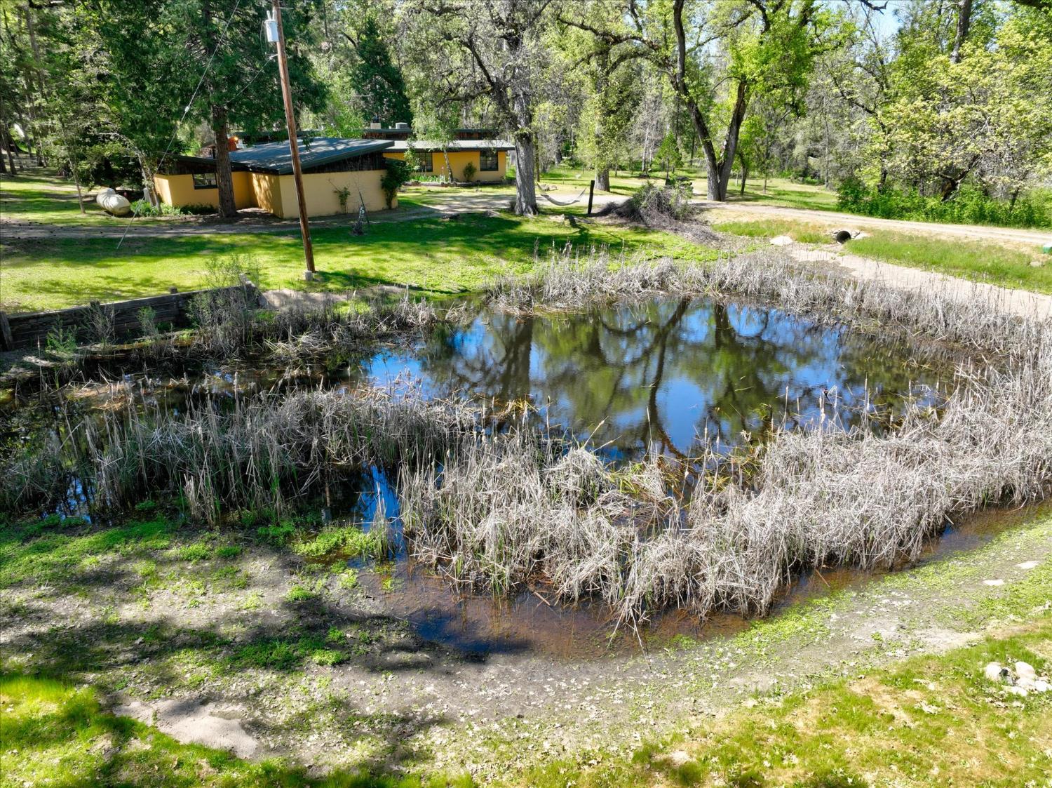 37733 Black Ranch Road Oakhurst, CA 93644 - Photo 51 of 98