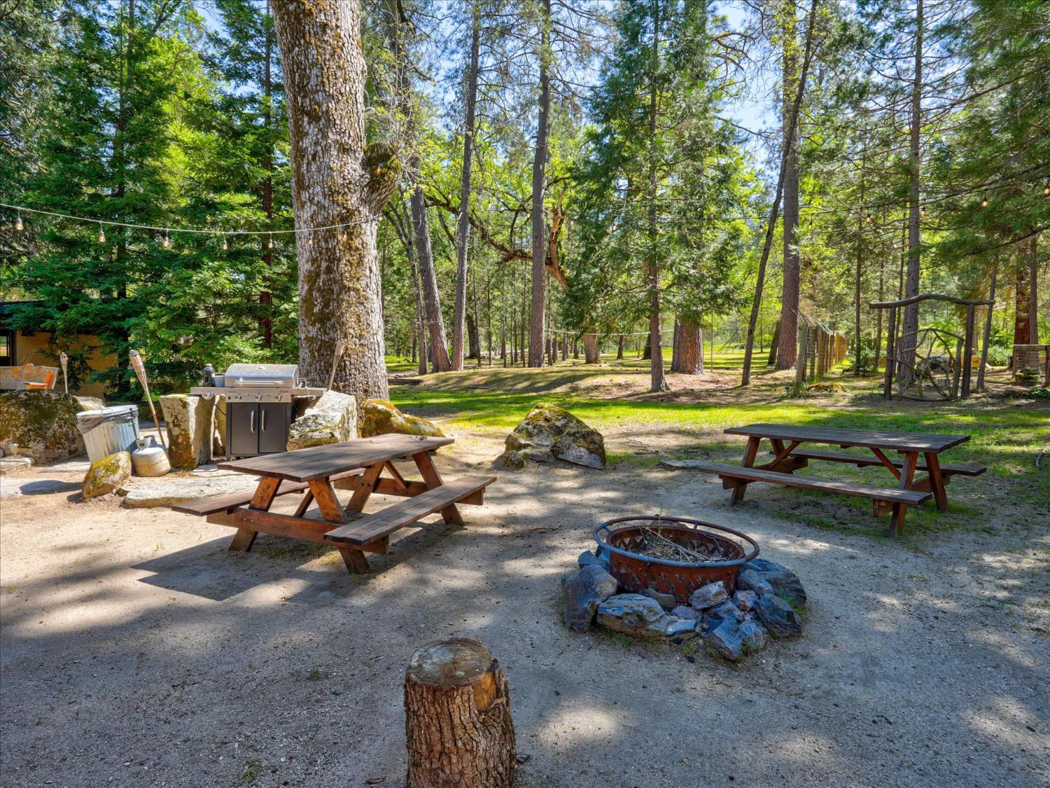 37733 Black Ranch Road Oakhurst, CA 93644 - Photo 80 of 98