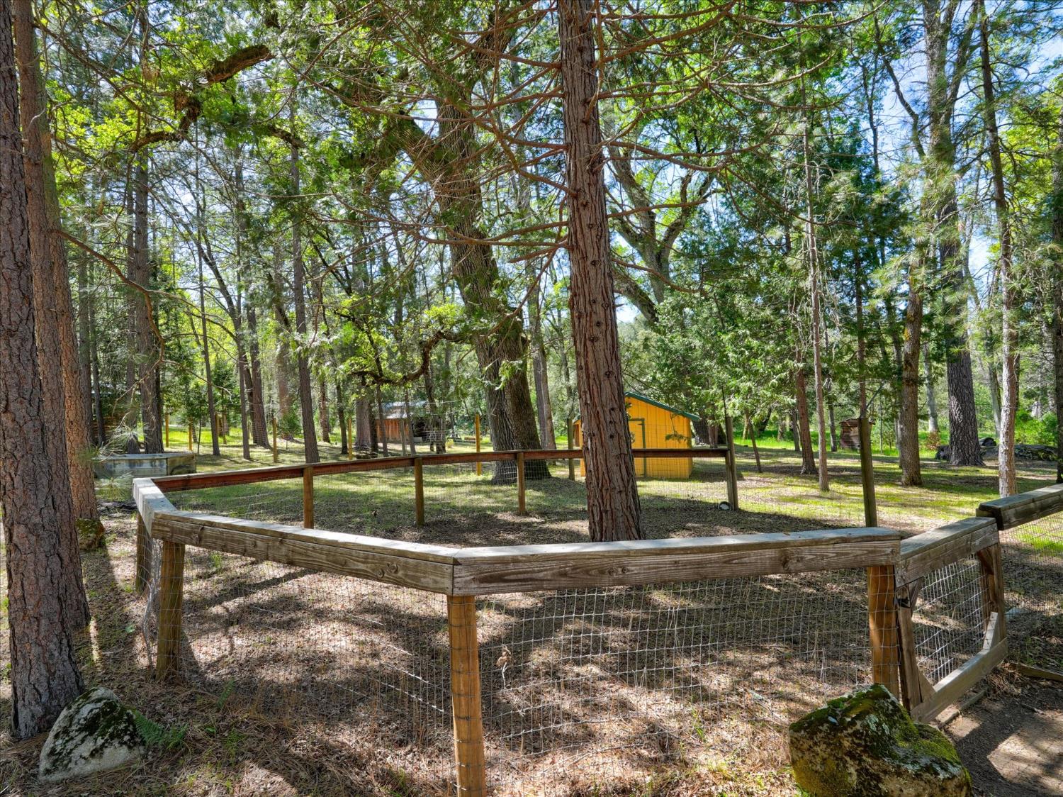 37733 Black Ranch Road Oakhurst, CA 93644 - Photo 92 of 98