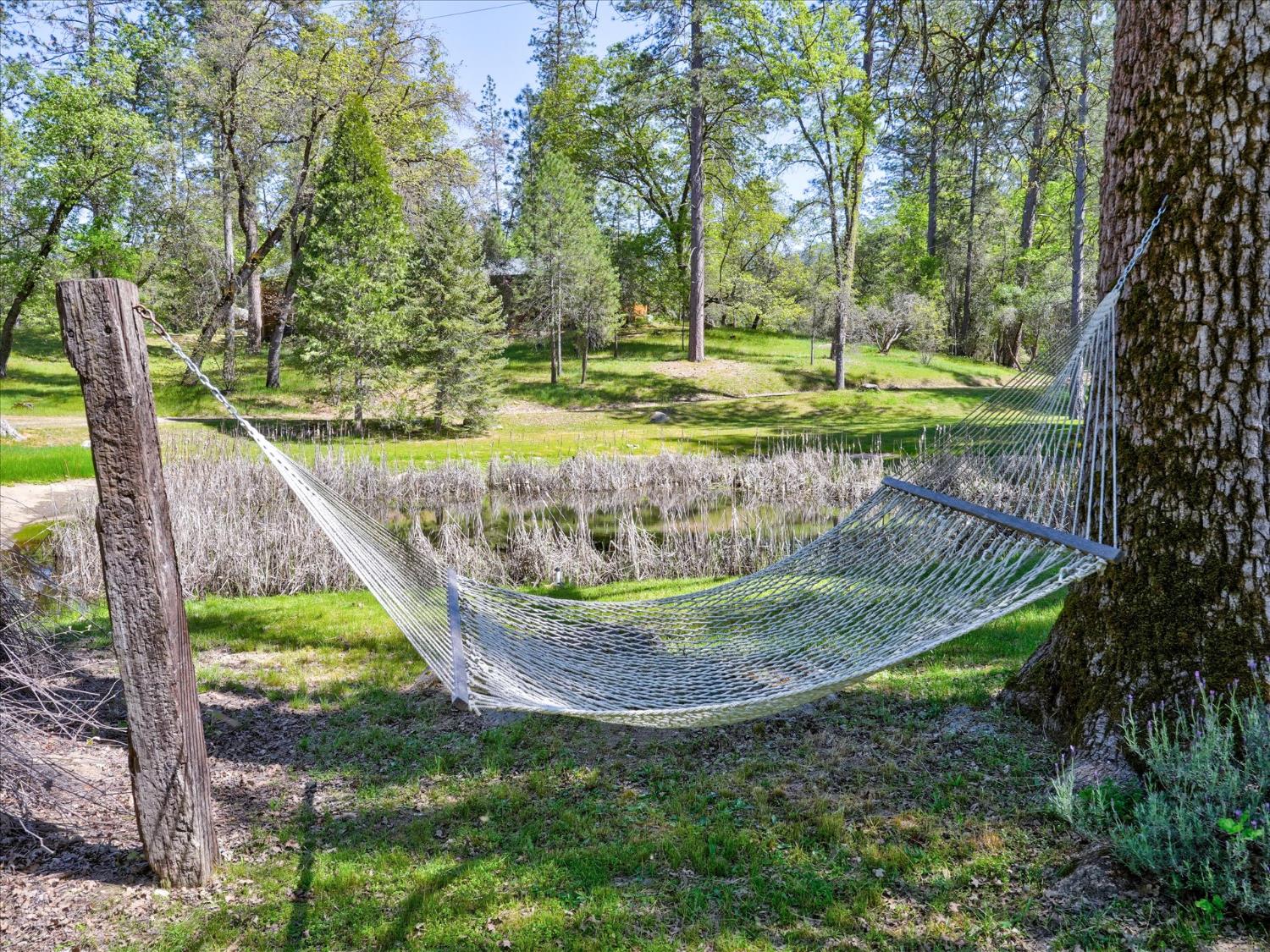 37733 Black Ranch Road Oakhurst, CA 93644 - Photo 95 of 98