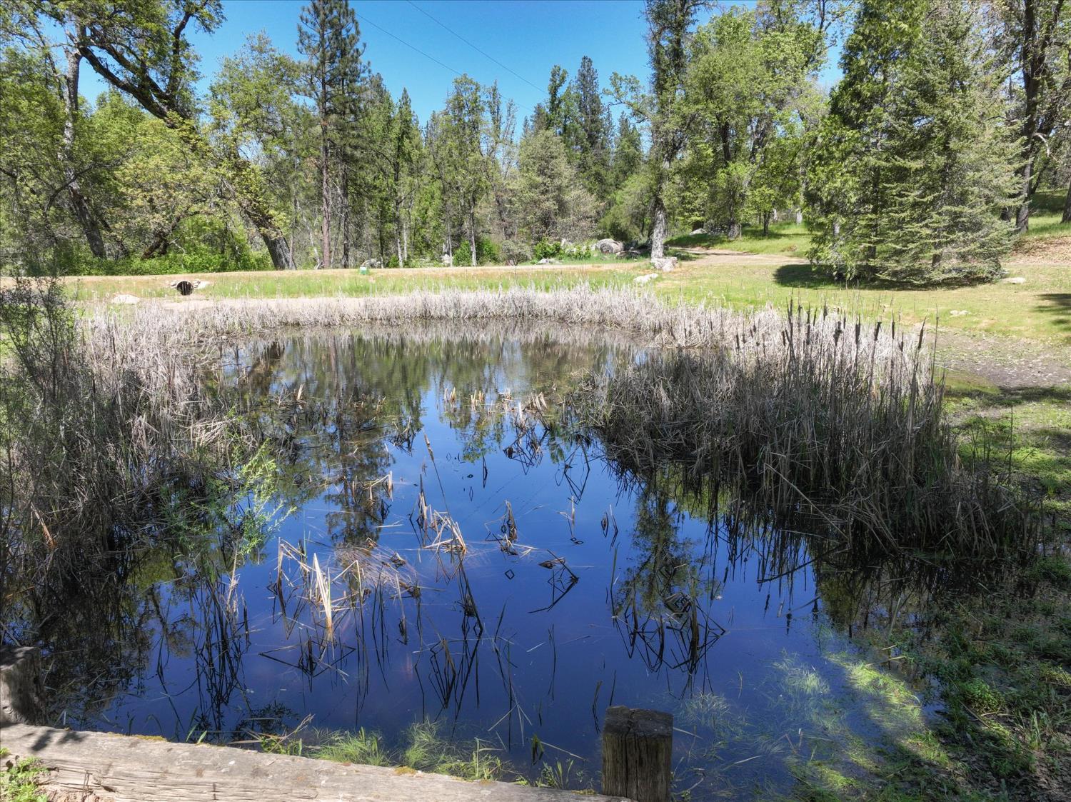 37733 Black Ranch Road Oakhurst, CA 93644 - Photo 96 of 98