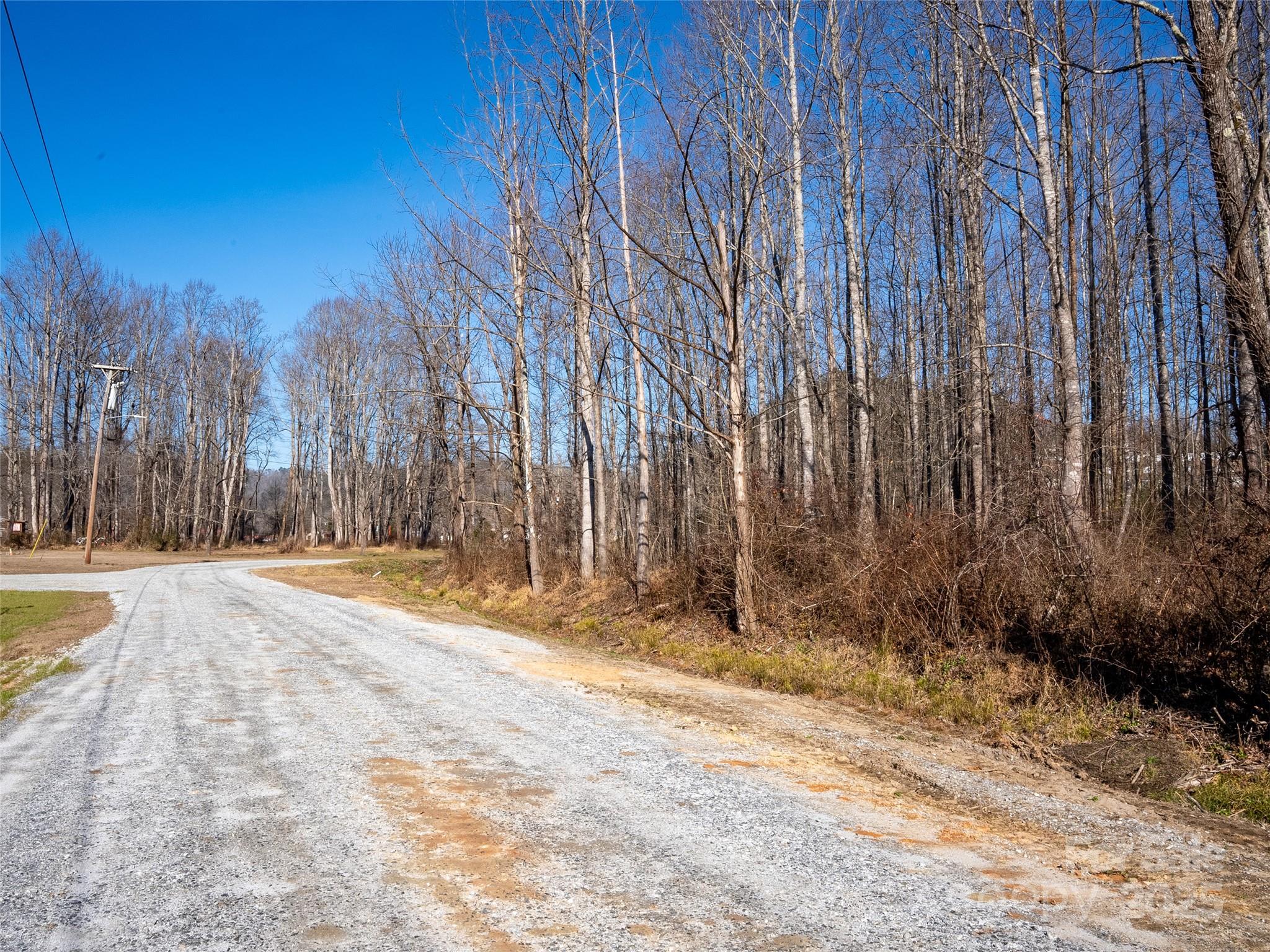 0 Rosman Wwtp Road Brevard, NC 28712 - Photo 4 of 4 a view of large space with trees