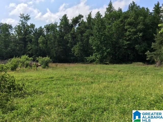 37-acres Joy Road, Unit 37 ACRES Hayden, AL 35079 - Photo 3 of 17