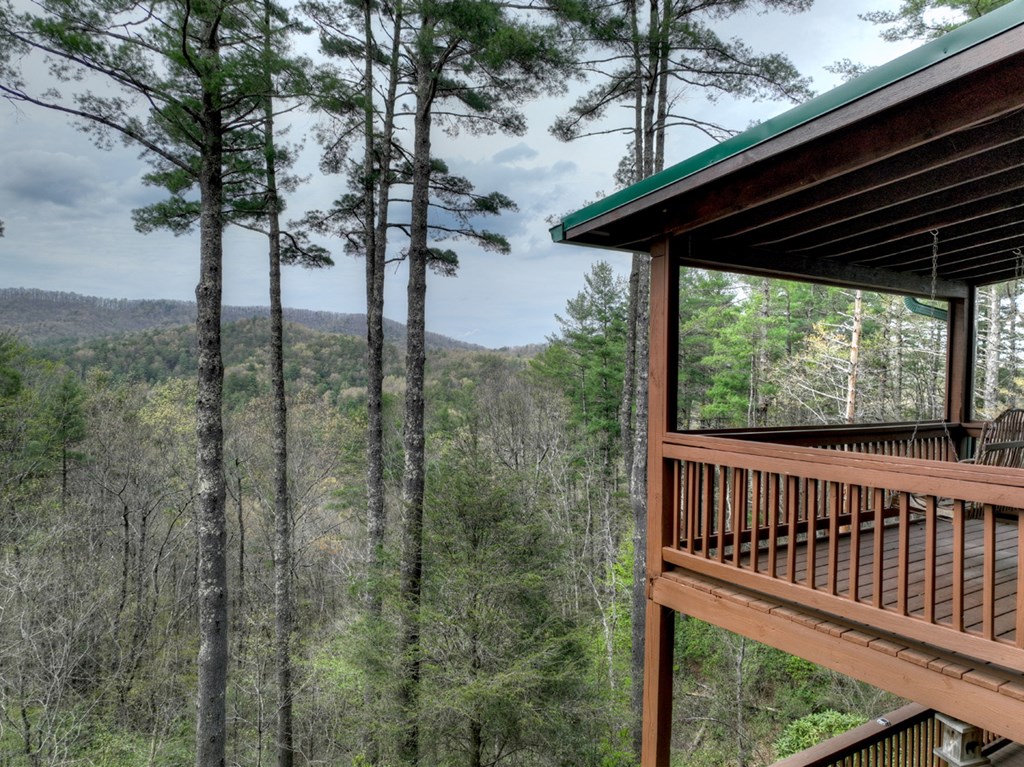 464 Bell Camp Ridge Road Blue Ridge, GA 30513 - Photo 2 of 48 Gallery Image 2