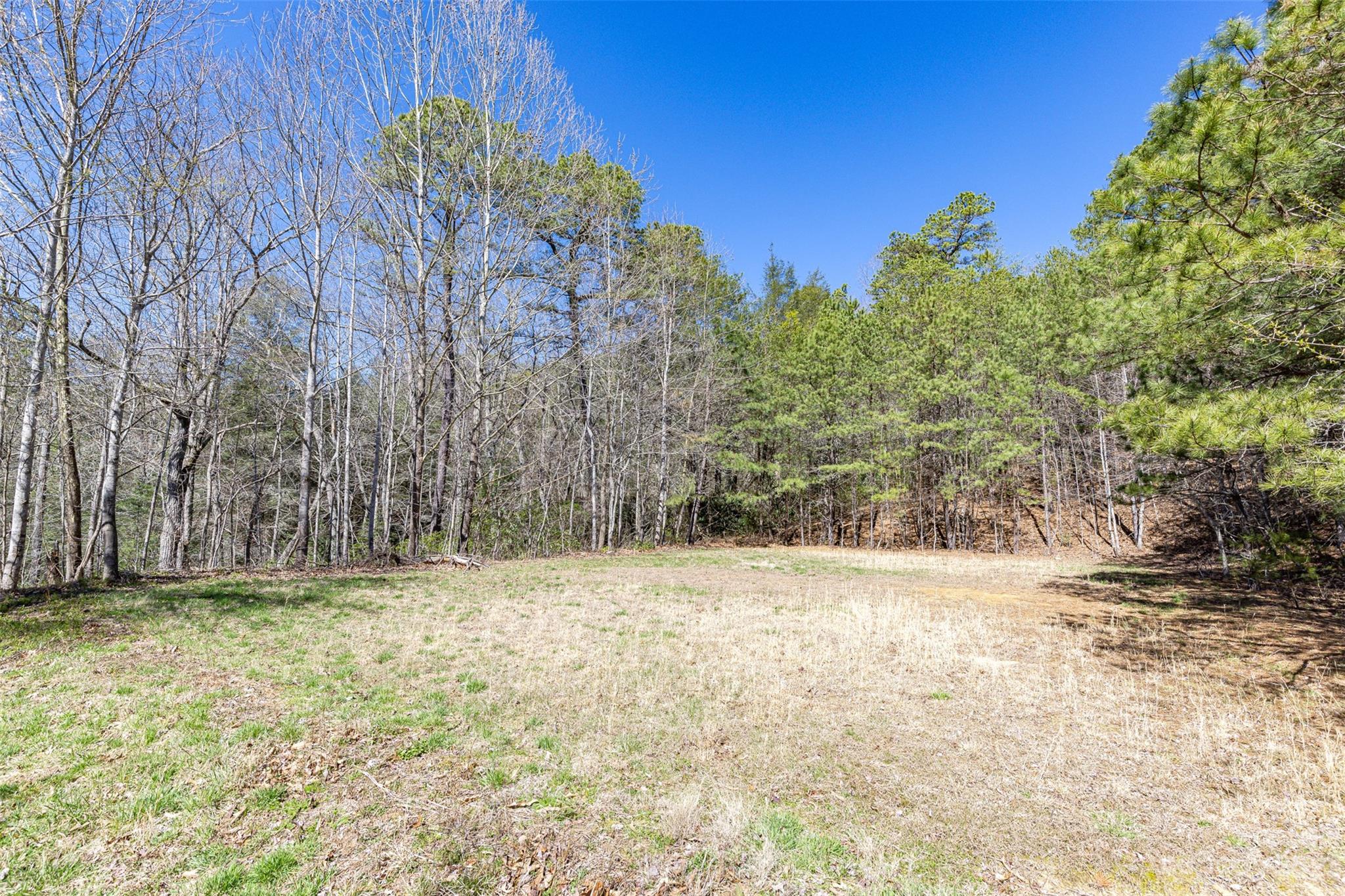 36 Wild Wind Trail Fairview, NC 28730 - Photo 28 of 33 a view of a yard with a tree