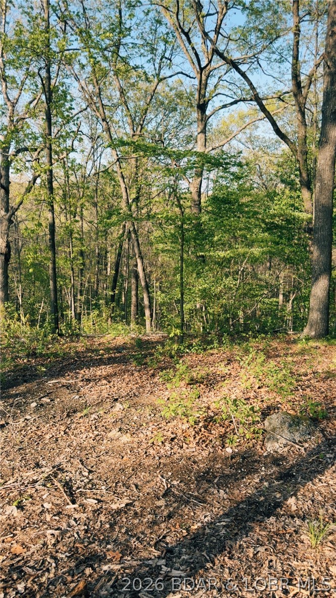 16426 Grace Road Barnett, MO 65011 - Photo 4 of 9