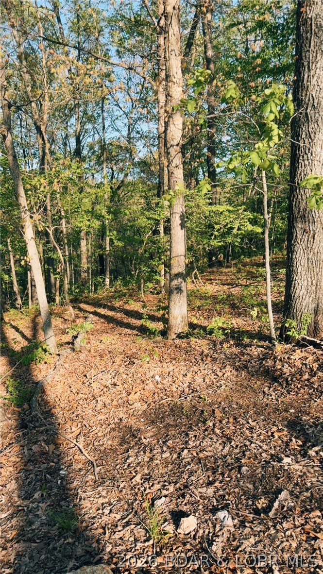 16426 Grace Road Barnett, MO 65011 - Photo 5 of 9