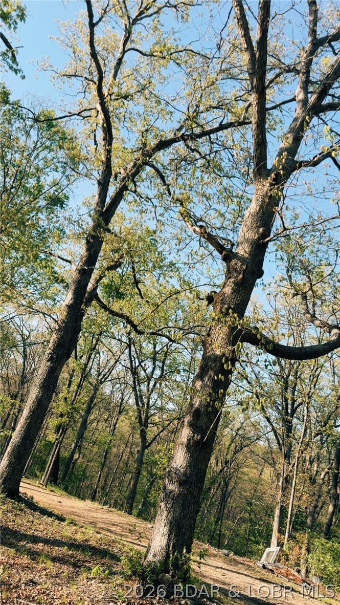 16426 Grace Road Barnett, MO 65011 - Photo 9 of 9