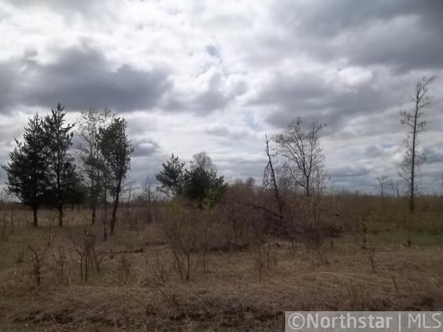 0 Nelson Road Webster, WI 54893 - Photo 1 of 1