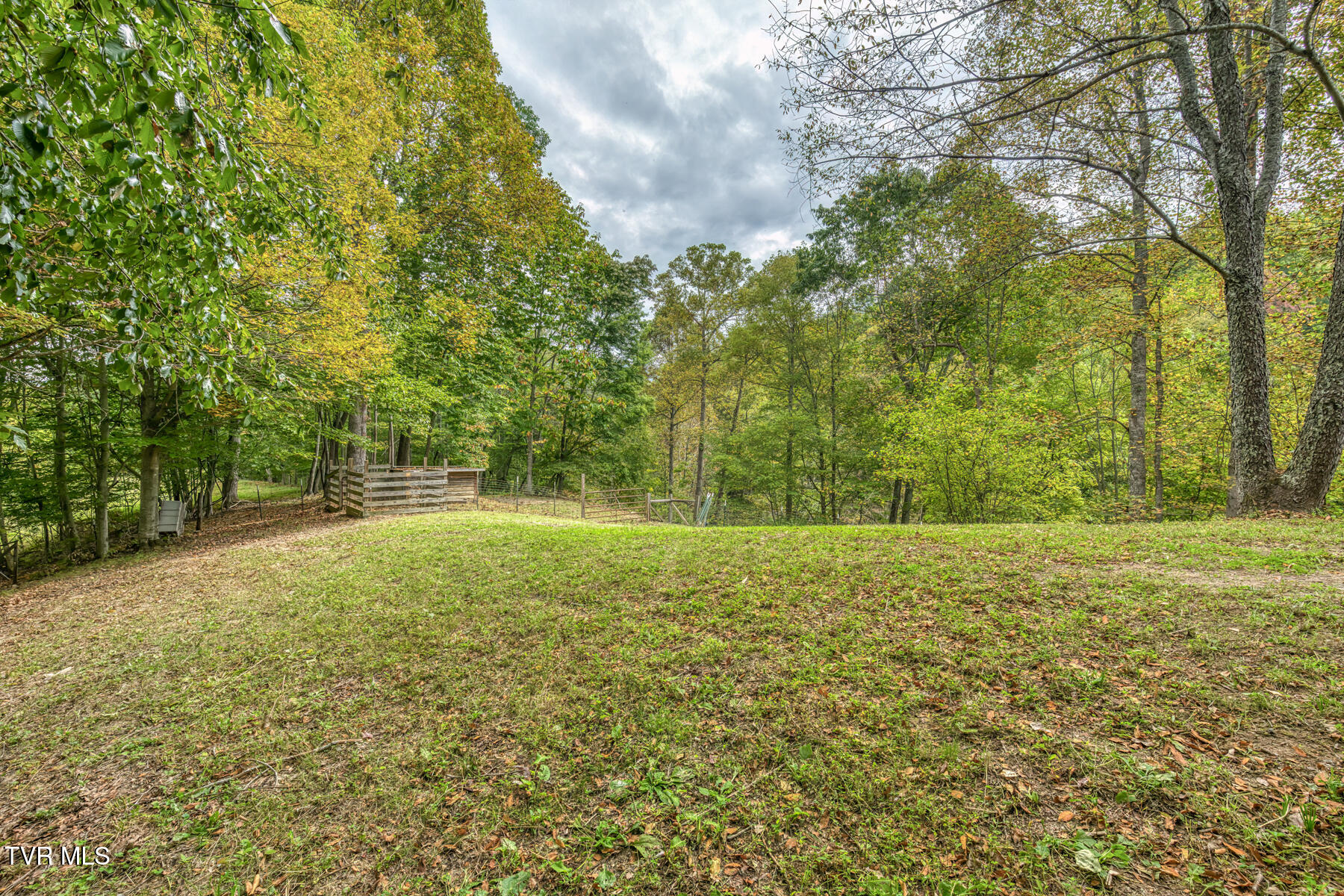 160 Conley Stevens Road Roan Mountain, TN 37687 - Photo 42 of 68 160 Conley Stevens Rd-52