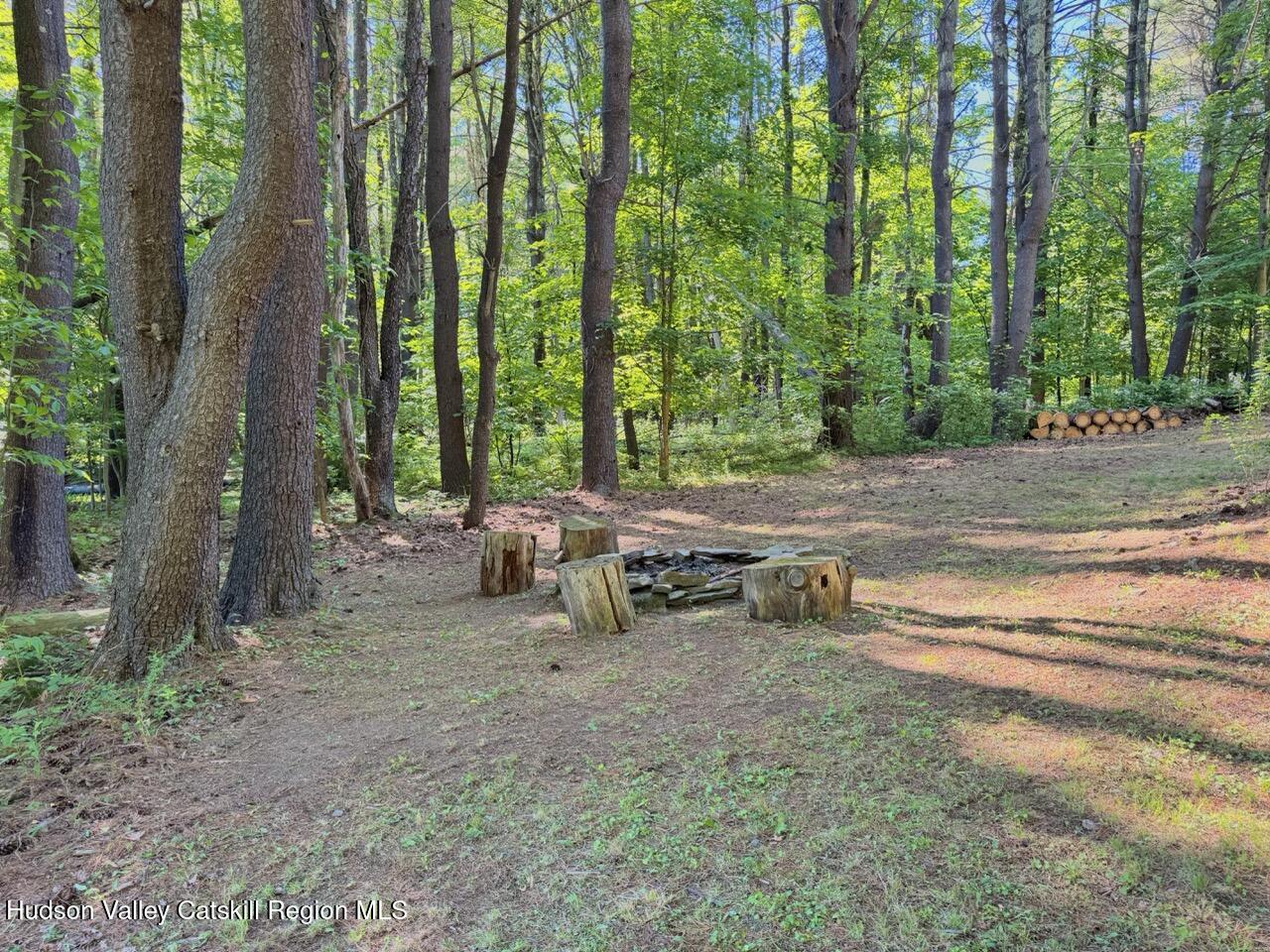 177 Webber Road Earlton, NY 12058 - Photo 28 of 50 a view of a backyard with lawn chairs and large trees