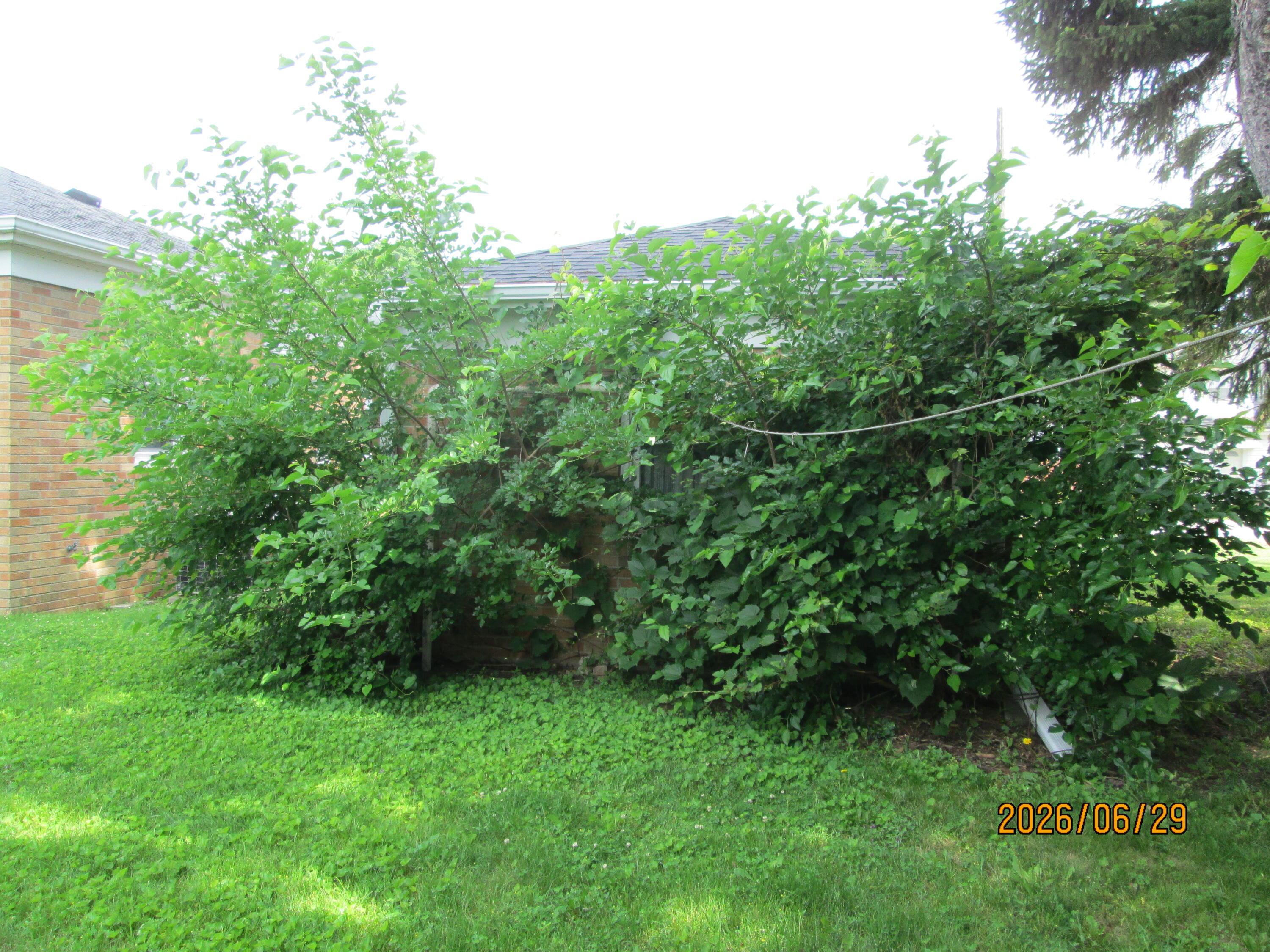 3217 Caledonia Street Racine, WI 53402 - Photo 4 of 37 Side Yard