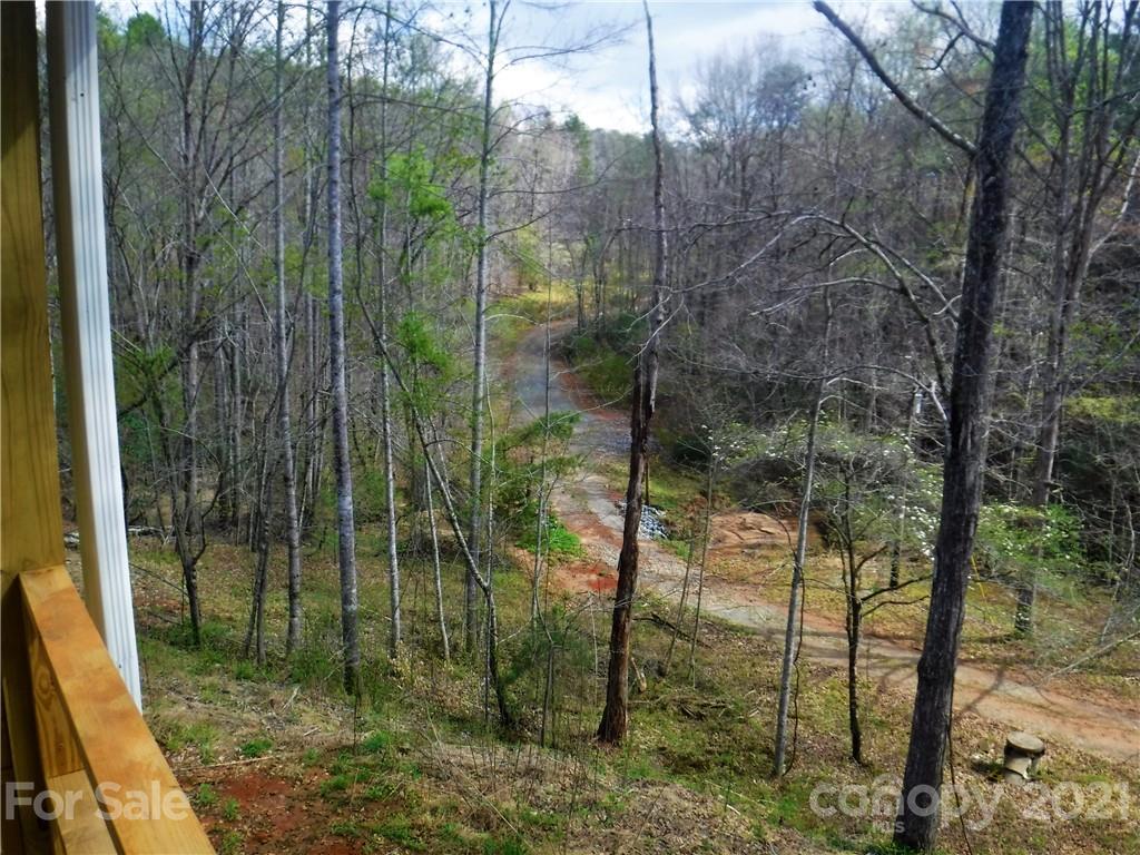 4221 Maple Creek Road Rutherfordton, NC 28139 - Photo 16 of 48 a view of a forest