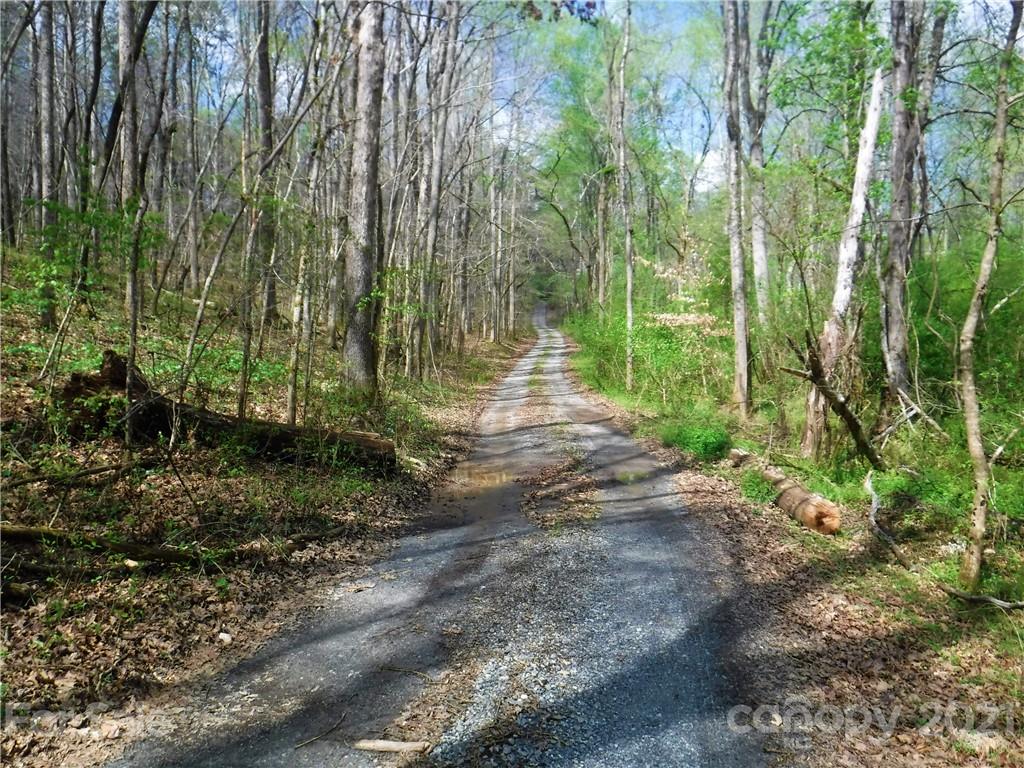 4221 Maple Creek Road Rutherfordton, NC 28139 - Photo 48 of 48 a view of outdoor space and trees