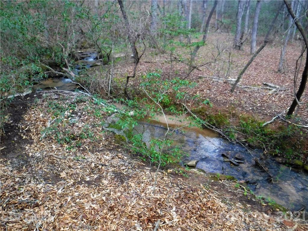 4221 Maple Creek Road Rutherfordton, NC 28139 - Photo 7 of 48 a big yard with flowing stream of water in middle