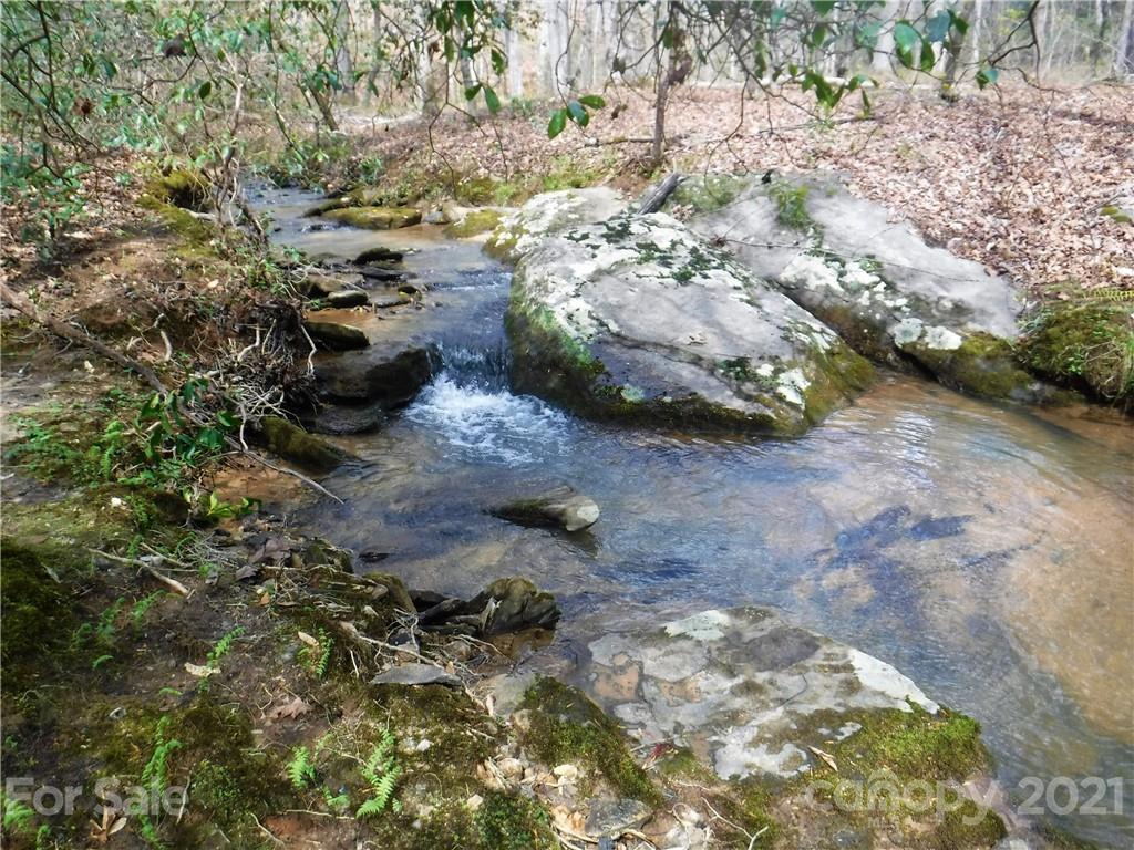 4221 Maple Creek Road Rutherfordton, NC 28139 - Photo 8 of 48 a view of a backyard of the house