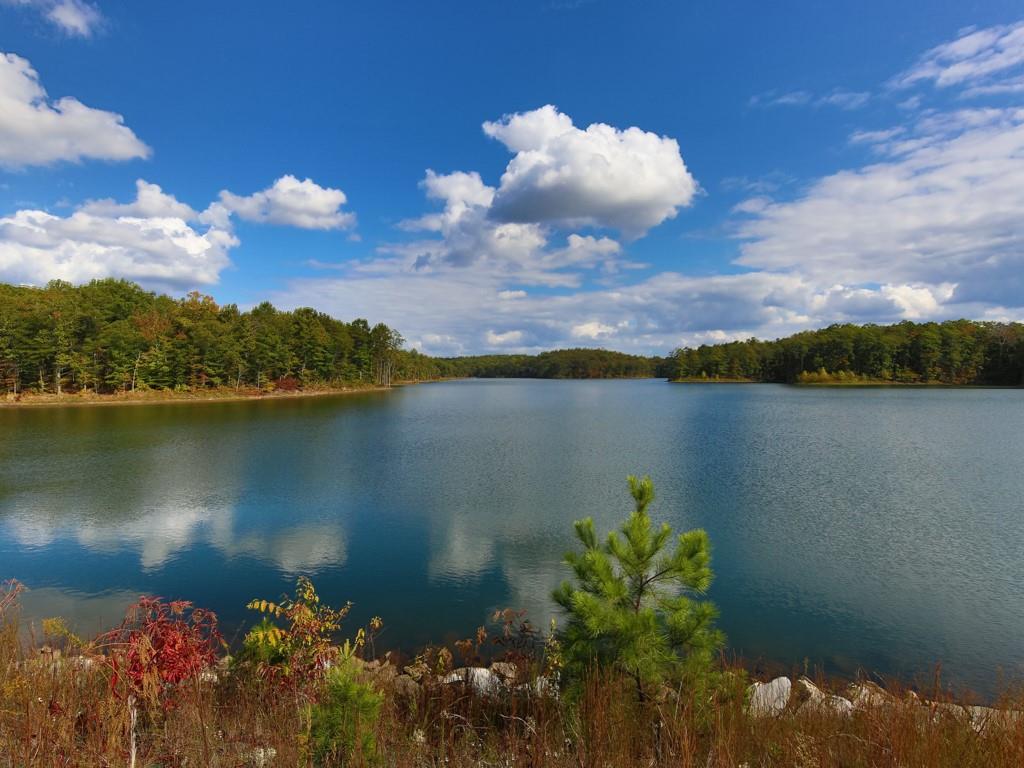 509 Crested Hawk Ridge Canton, GA 30114 - Photo 79 of 89 a view of a lake with a mountain in the background