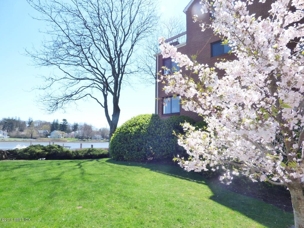 15 River Road, Unit 221 Cos Cob, CT 06807 - Photo 4 of 27 a view of yard with tree