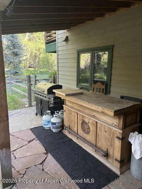 135 Lewis Lane Basalt, CO 81621 - Photo 21 of 25 back yard patio