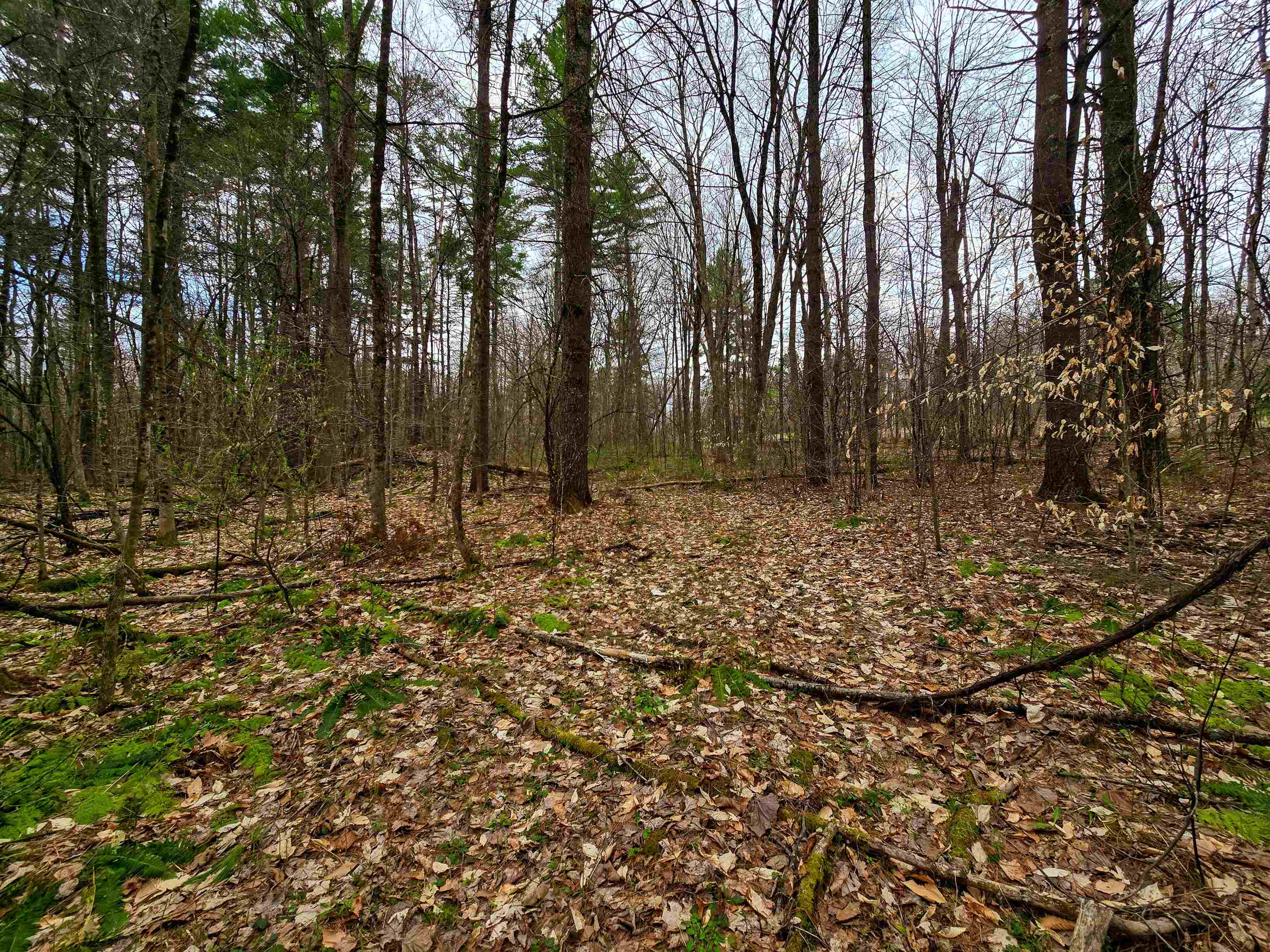 765 Camp Road Hubbardton, VT 05733 - Photo 25 of 38 Gallery Image 25