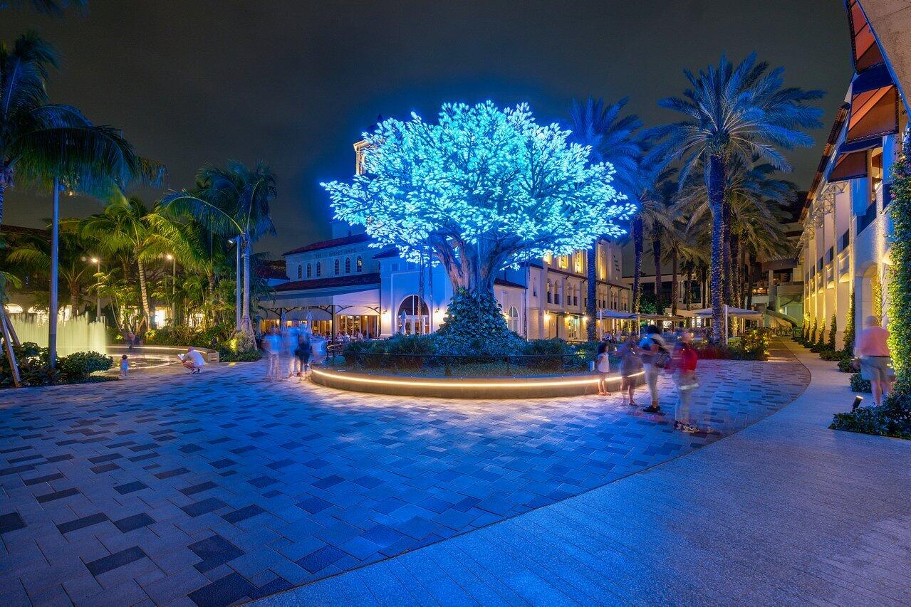 550 Okeechobee Boulevard, Unit 1221 West Palm Beach, FL 33401 - Photo 78 of 112 CityPlace Wishing Tree