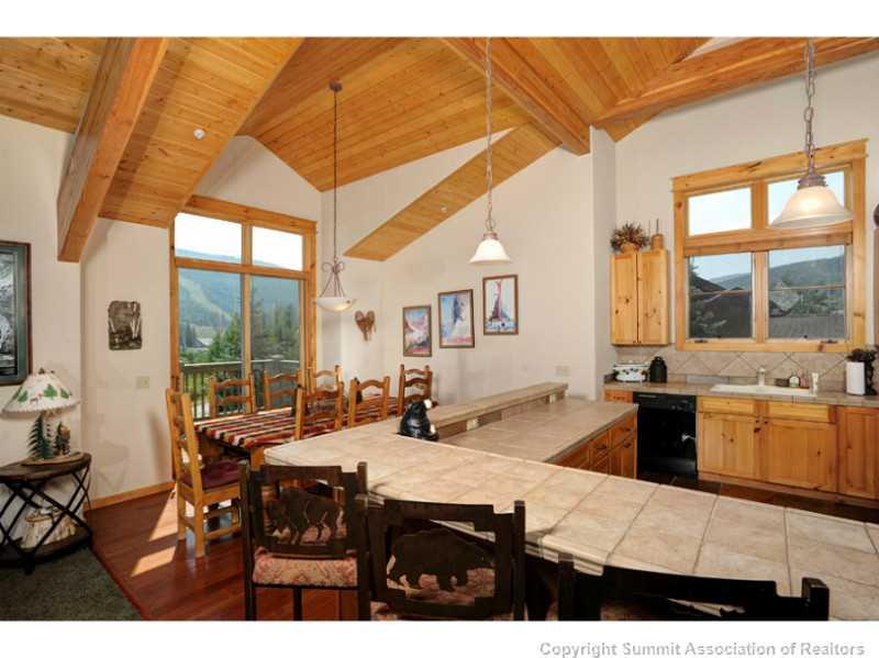 32 Snake River Road, Unit 9 Keystone, CO 80435 - Photo 4 of 25 Gallery Image 4