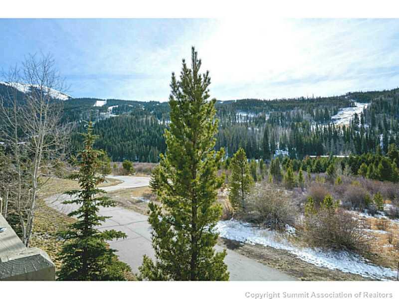 32 Snake River Road, Unit 9 Keystone, CO 80435 - Photo 6 of 25 Gallery Image 6