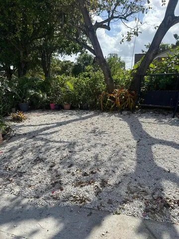 a view of a yard with plants and large trees