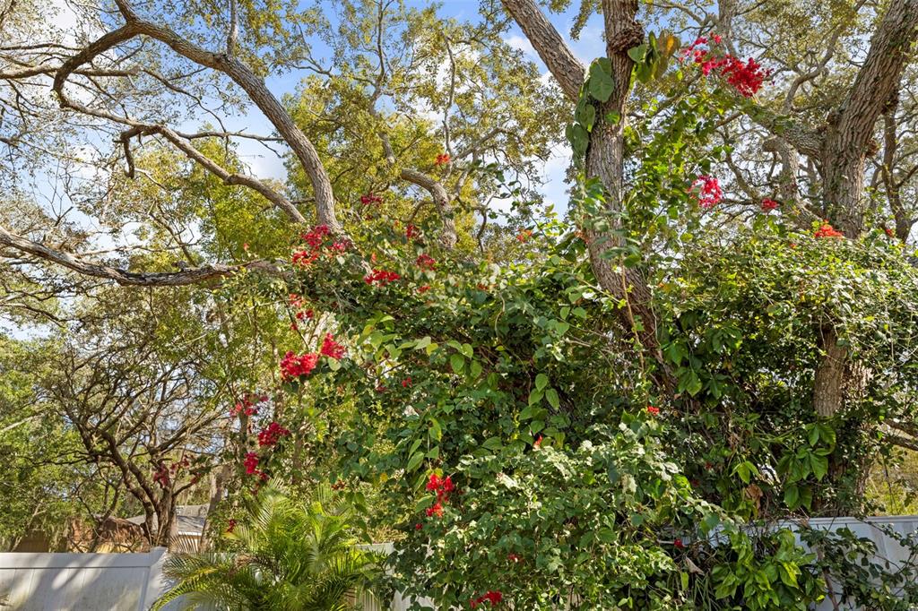 8155 Giffen Lane Spring Hill, FL 34608 - Photo 44 of 52