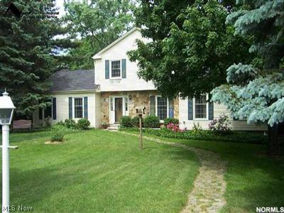 7260 Williams Road Painesville, OH 44077 - Photo 1 of 1 Gallery Image 1