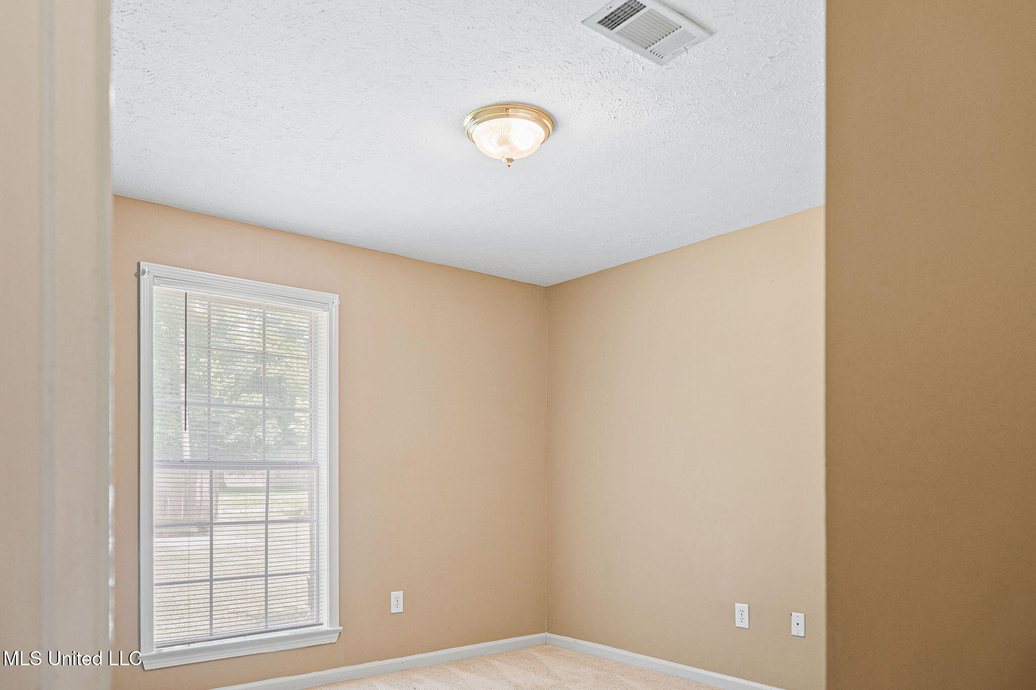 6931 Richmond Grove Road Jackson, MS 39213 - Photo 12 of 31 1000000116