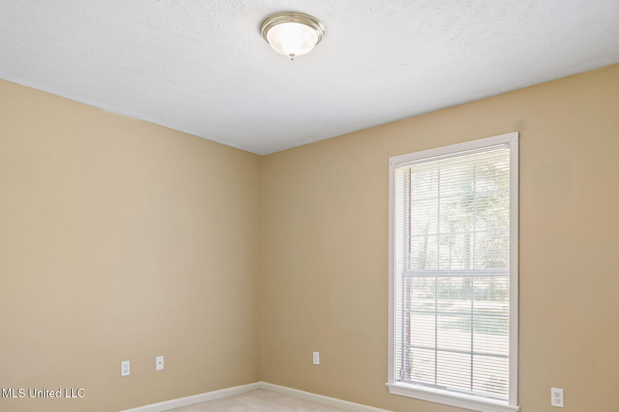 6931 Richmond Grove Road Jackson, MS 39213 - Photo 16 of 31 1000000108