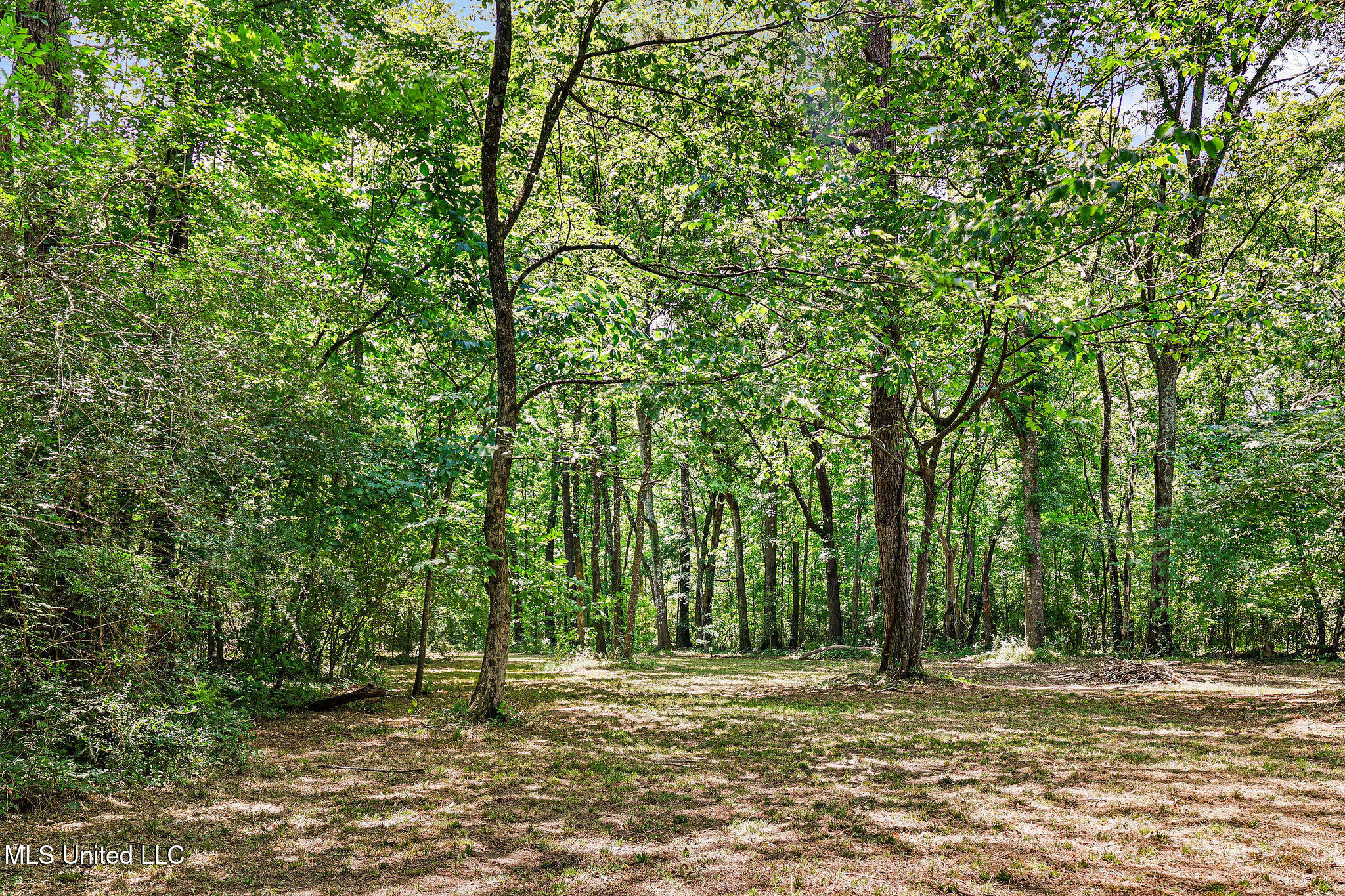 6931 Richmond Grove Road Jackson, MS 39213 - Photo 31 of 31 1000000107