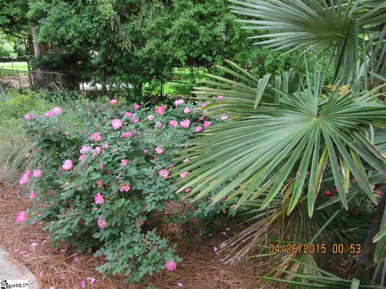 111 Grove Road Greenville, SC 29605 - Photo 34 of 35