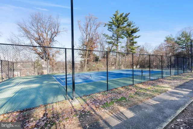 a view of a yard with a tiny play house