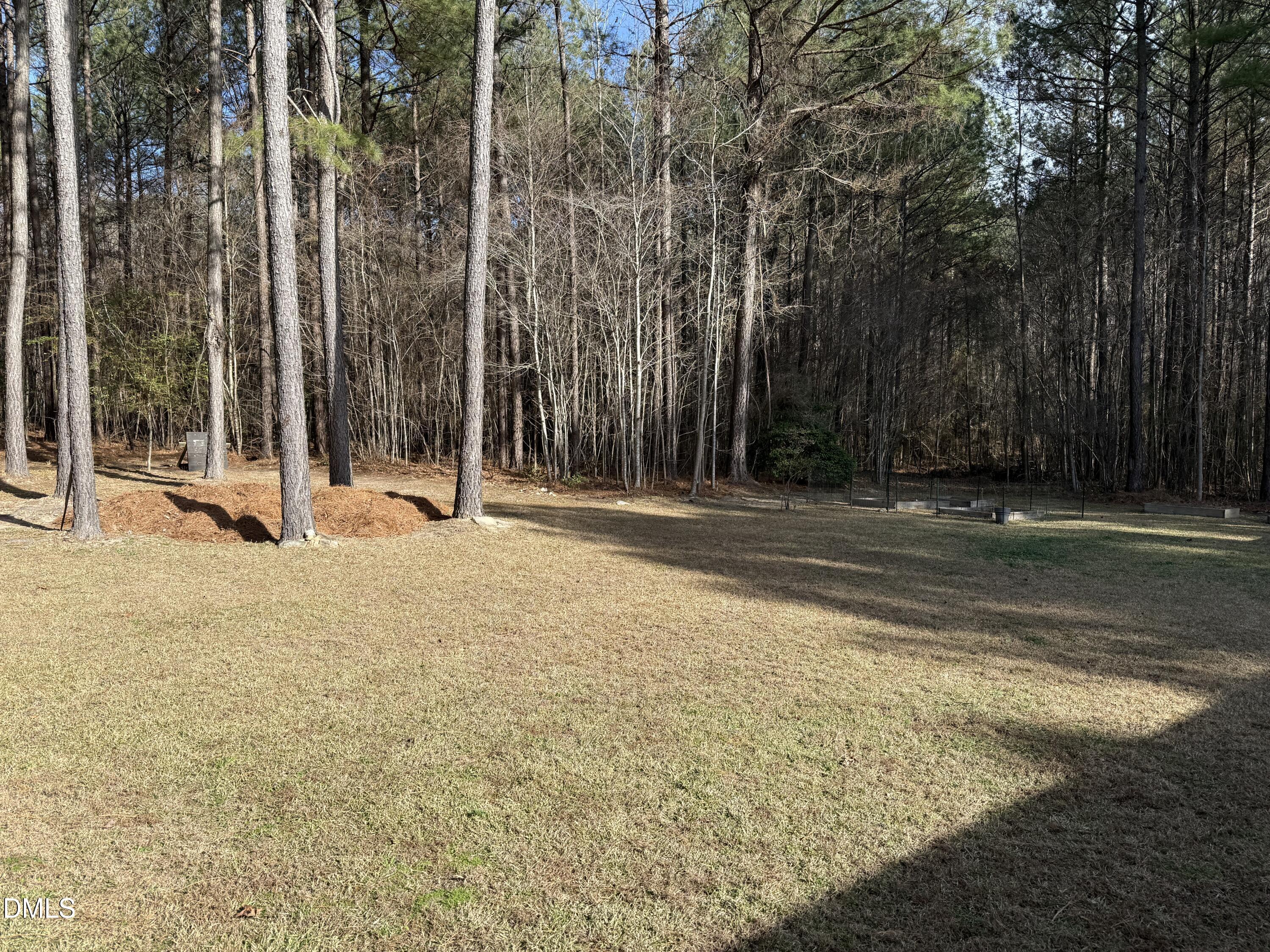 11242 Bissette Road Middlesex, NC 27557 - Photo 42 of 49 a view of a room with a large trees