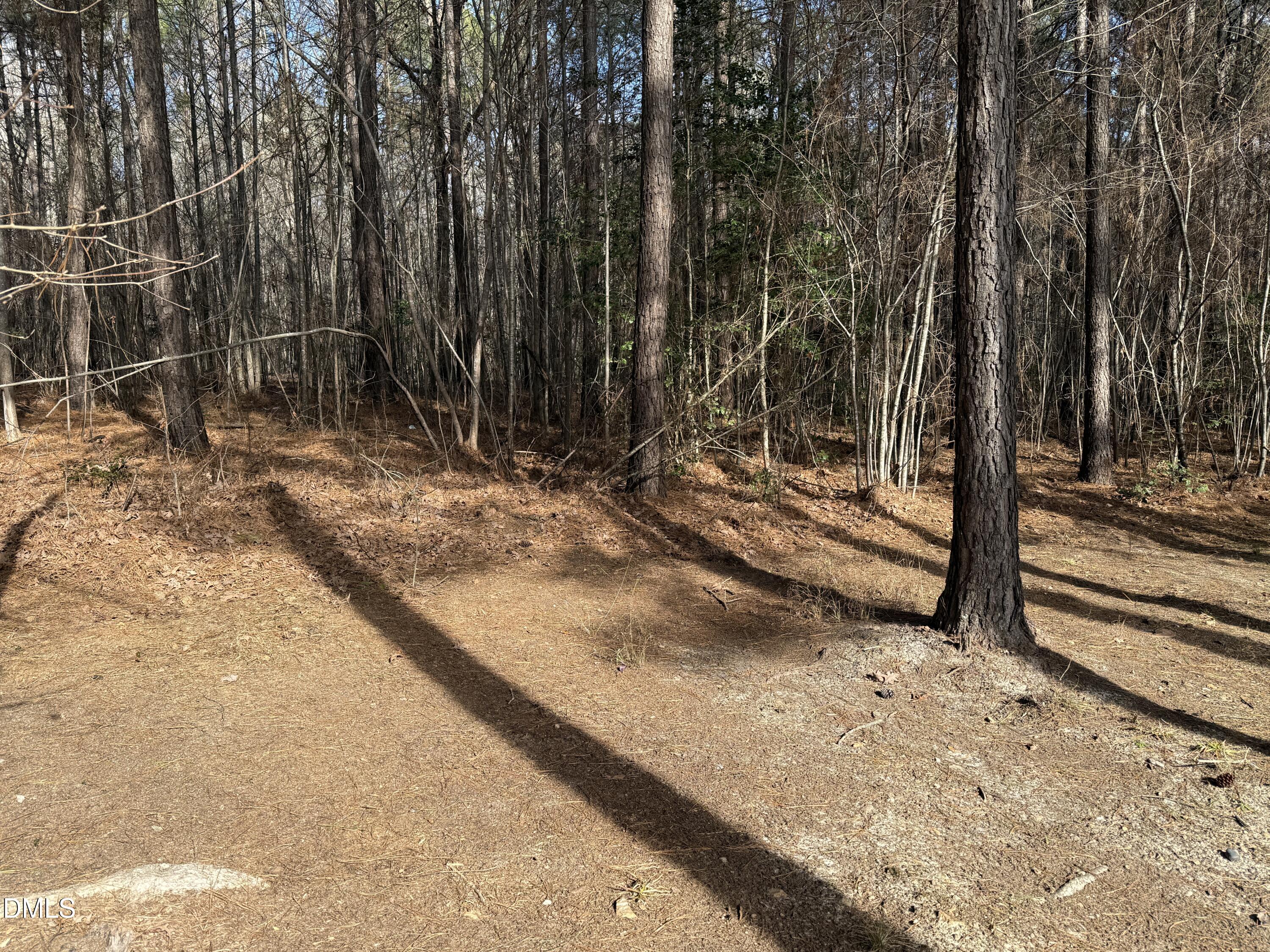 11242 Bissette Road Middlesex, NC 27557 - Photo 44 of 49 a view of a backyard of the house