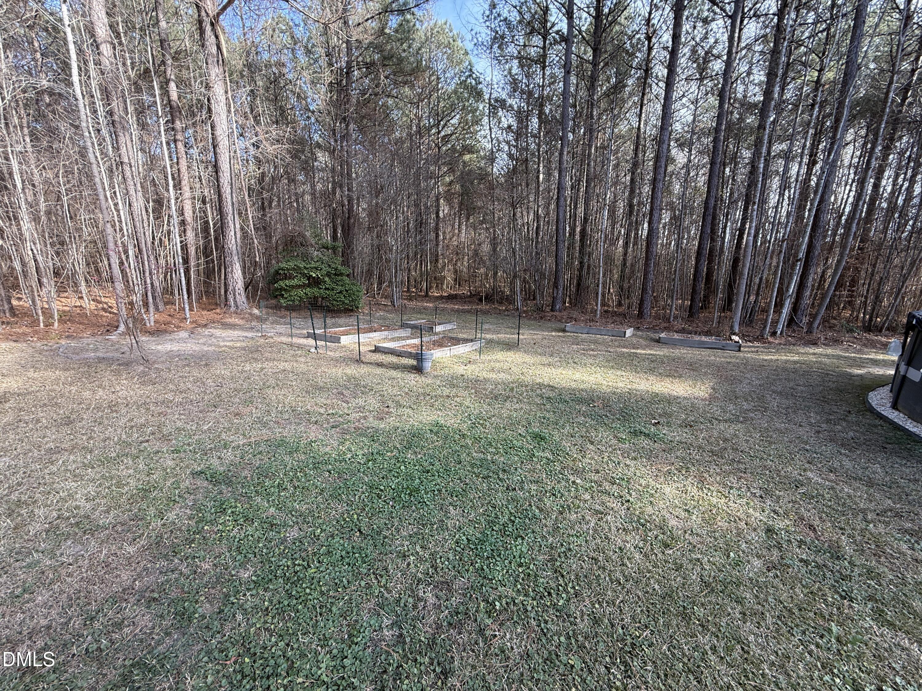 11242 Bissette Road Middlesex, NC 27557 - Photo 45 of 49 a backyard of a house with trees and outdoor seating