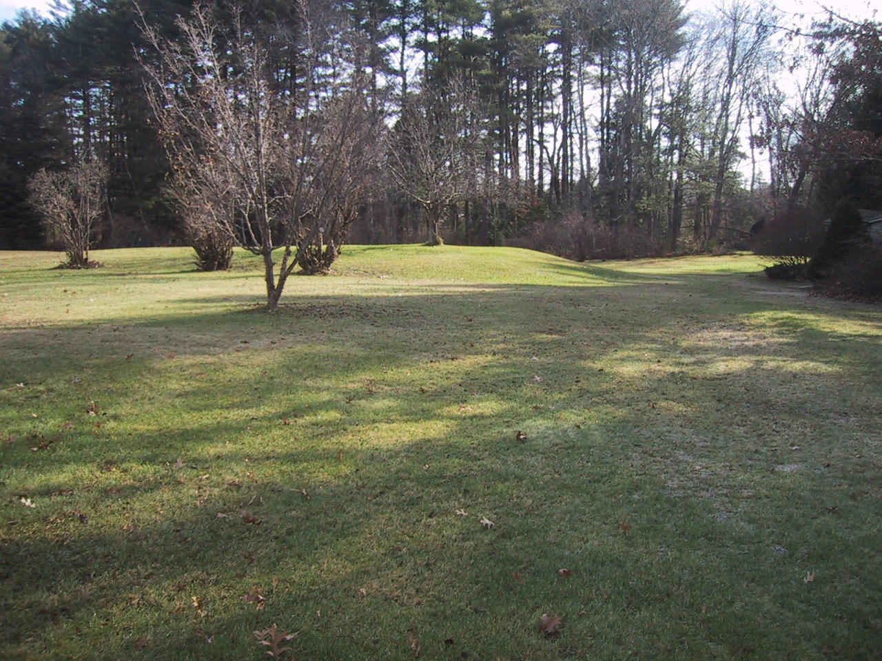 95 Salisbury Road Sheffield, MA 01257 - Photo 10 of 12 a view of swimming pool with a yard
