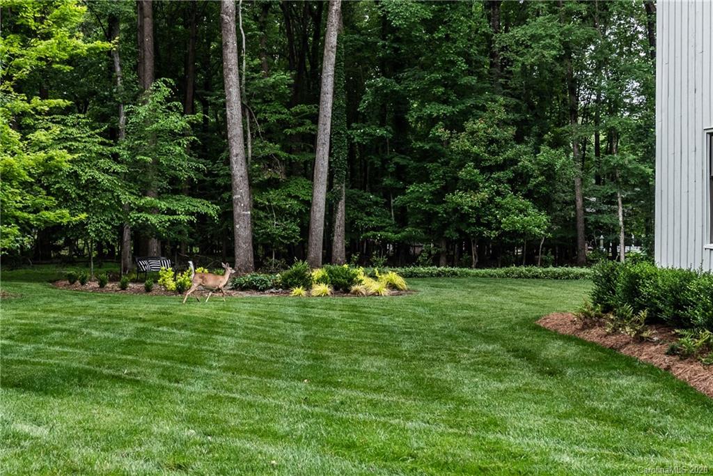 2514 High Ridge Road Charlotte, NC 28270 - Photo 37 of 43