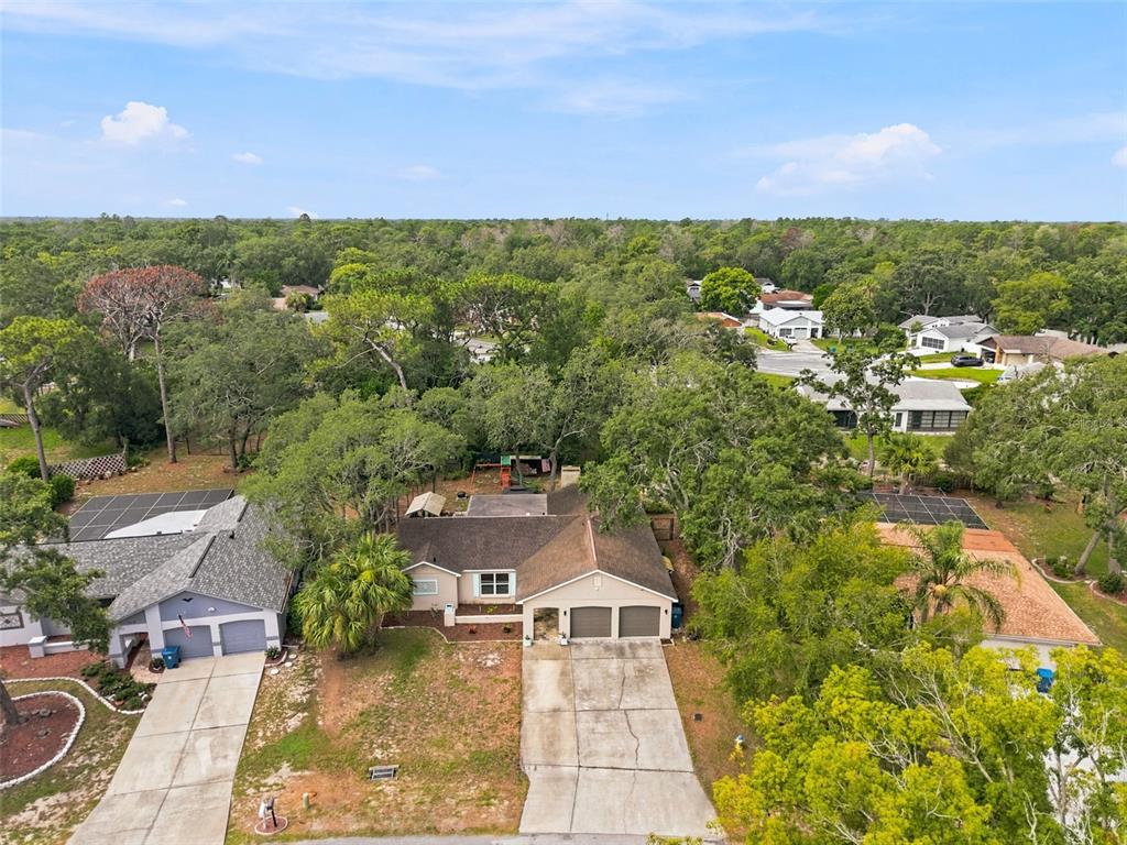 7407 Philatelic Drive Spring Hill, FL 34606 - Photo 39 of 43