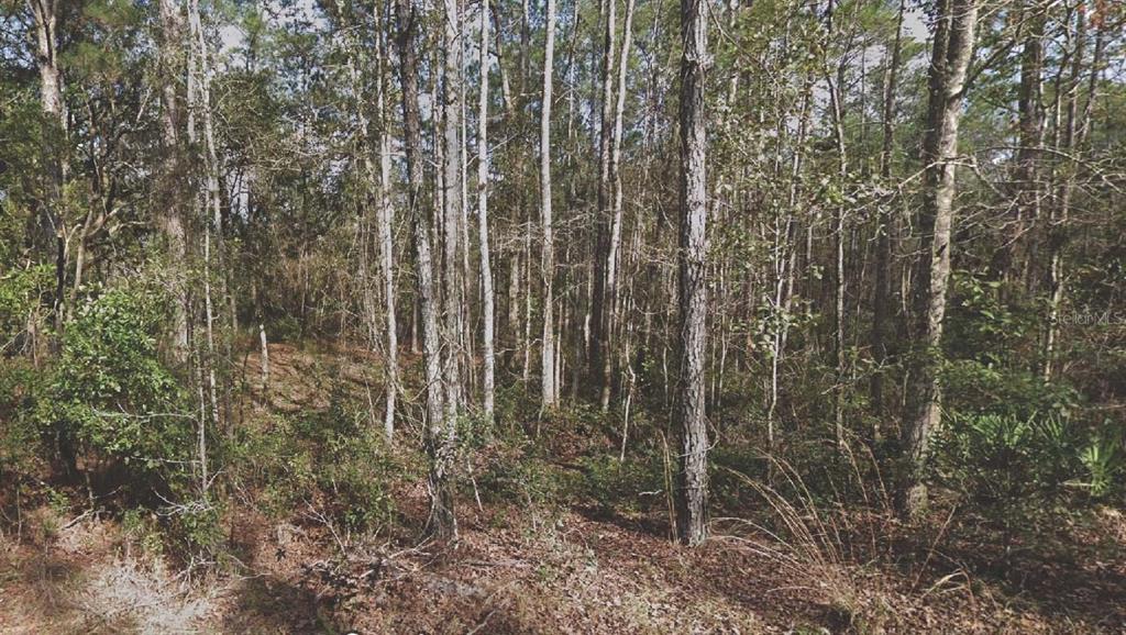 130 Southeast 5th St  