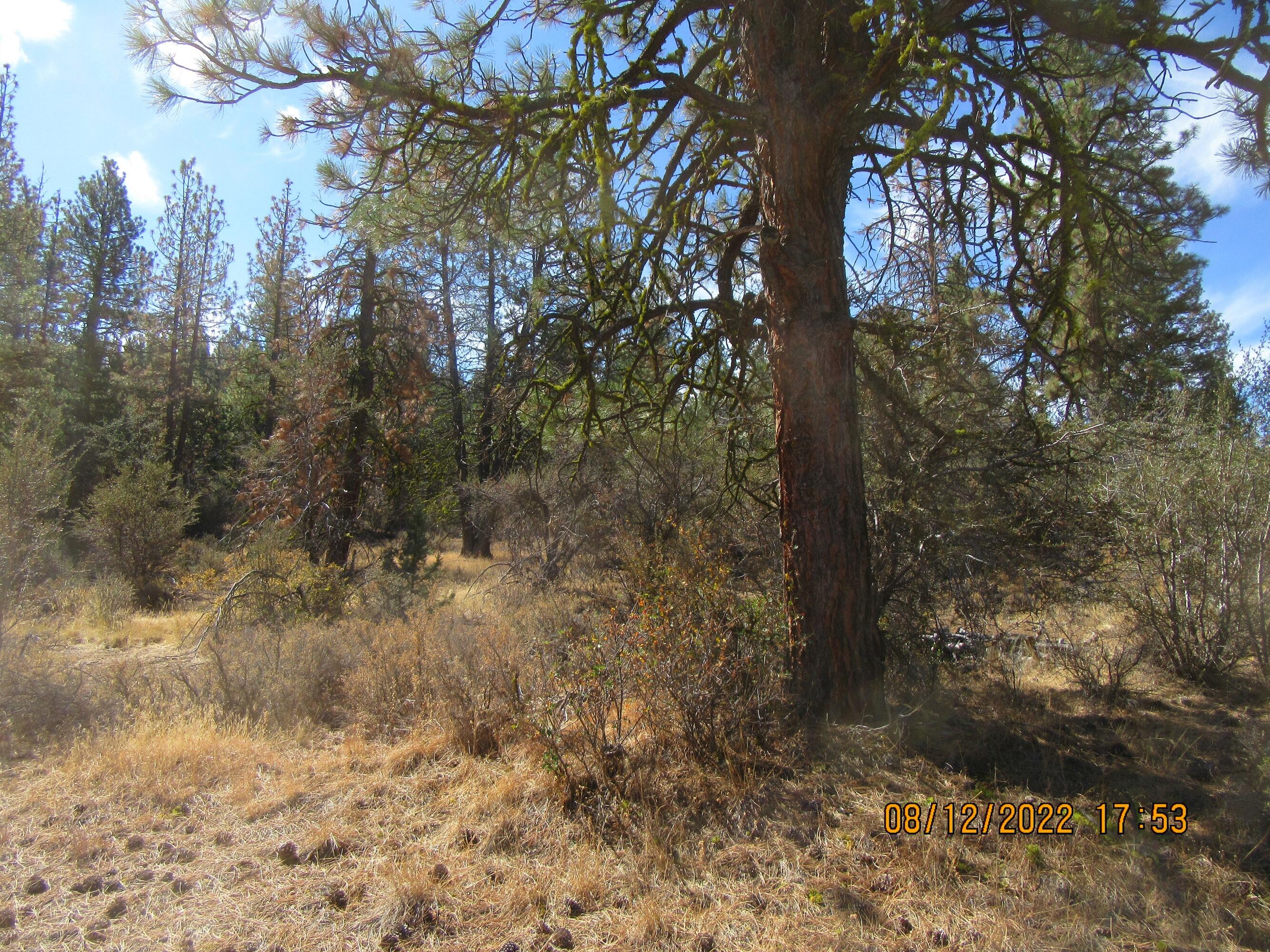 Lot 2 Tiger Lane Bonanza, OR 97623 - Photo 10 of 12 Tiger 5