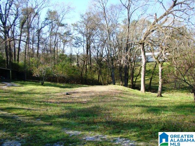 678 Old Sulphur Springs Road, Unit 2 Wellington, AL 36279 - Photo 9 of 11